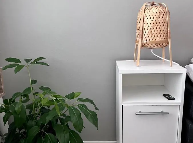 Kaksio Helsingissae Omalla Parkkipaikalla *