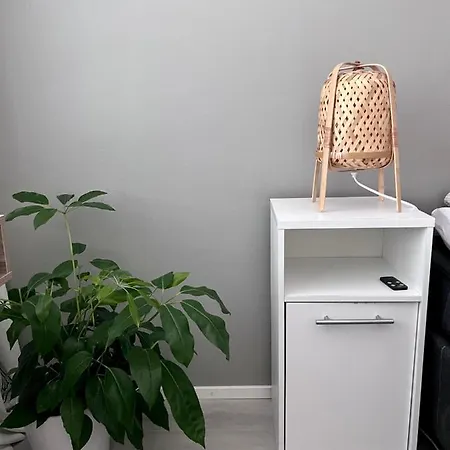 Kaksio Helsingissae Omalla Parkkipaikalla *